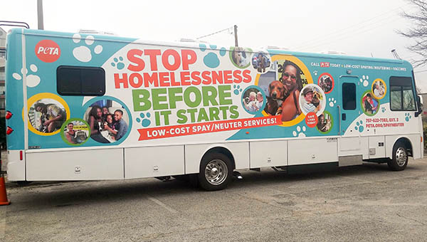 A mobile low-cost spay and neuter clinic van