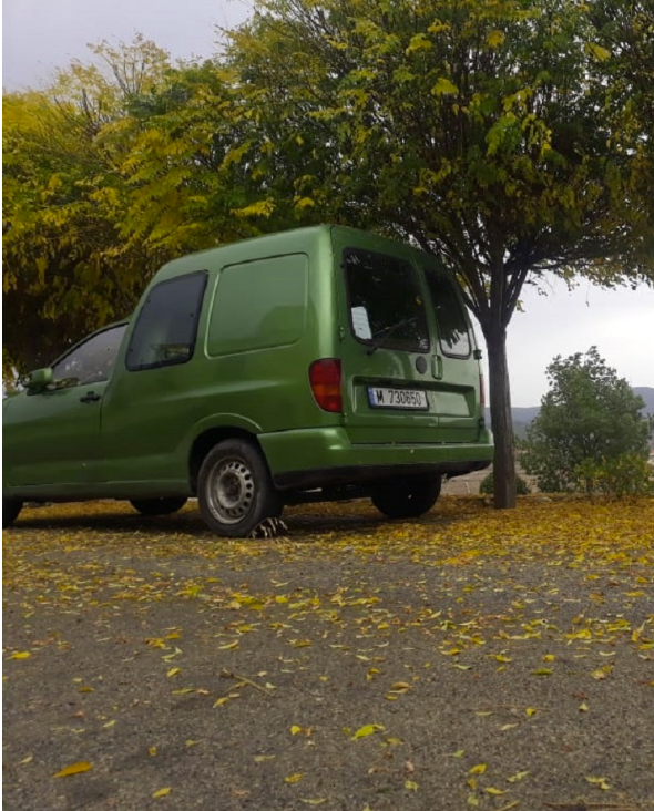 The green Woof N&rsquo; Wags Pet Taxi parked under autumn trees