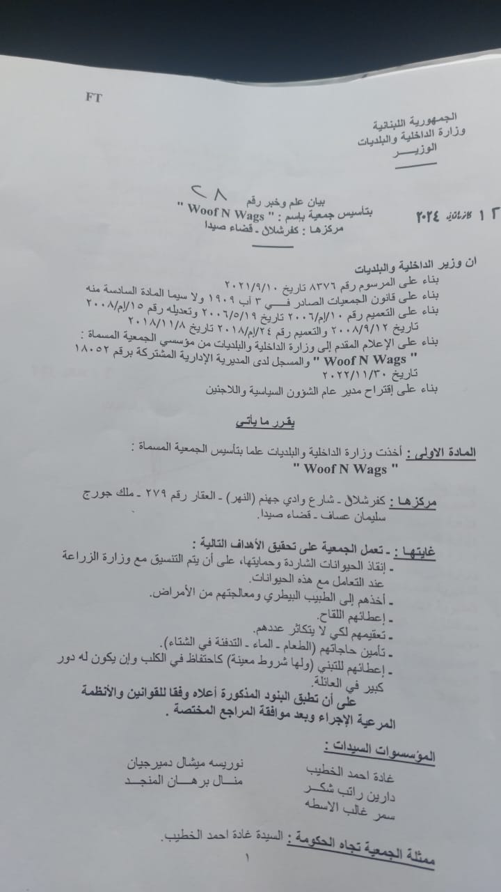 Ministry of Interior authorization No. 28, original Arabic