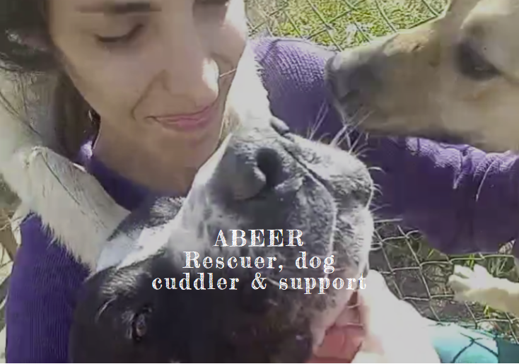 Abeer, rescuer and dog cuddler, with two shelter dogs