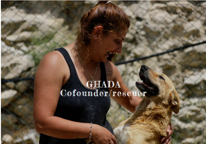 Ghada, cofounder and rescuer, with a rescue dog